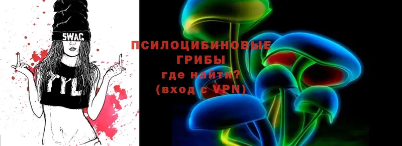 Галлюциногенные грибы MAGIC MUSHROOMS  цена   Барыш 